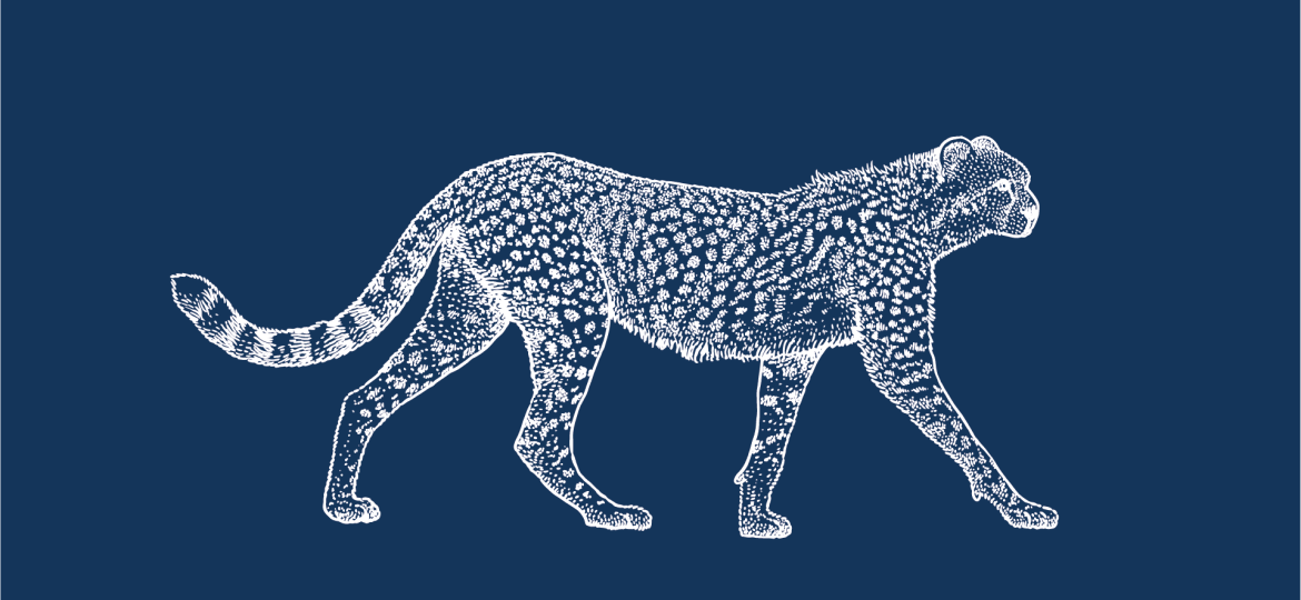 Recruitment Leopard Blue (002)