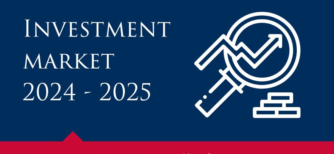 investment market review 2024